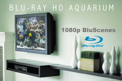 Blu-Ray HD Aquarium - BluScenes High Definition Coral Aquarium