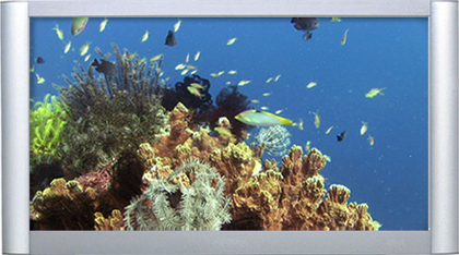 Exotic Coral Reefs