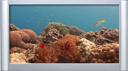 Plasmaquarium Vol. II - Ultra Coral Reef Aquarium DVD - Plasma Window