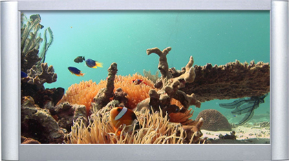 Plasmaquarium Vol. II - Ultra Coral Reef Aquarium DVD - Plasma Window