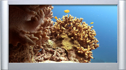 Plasmaquarium Vol. II - Ultra Coral Reef Aquarium DVD - Plasma Window